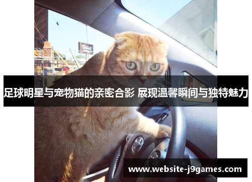 足球明星与宠物猫的亲密合影 展现温馨瞬间与独特魅力